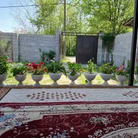 ویلا روستایی سه گل دربست باتراس ویک سوییت تک خواب|اجارهٔ کوتاهمدت ویلا و باغ|شفت, |دیوار