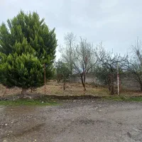 فروش قطعه زمین به مساحت ۲۵۰ متر