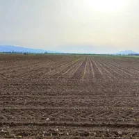 اجاره زمین کشاورزی و آب