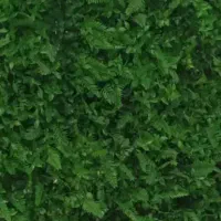 خوابگاه رایگان