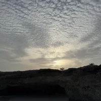 فاز ۲ صدف، ۶۵ متری طبقه اول روبه نما