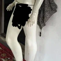 دو عدد مانکن سالم