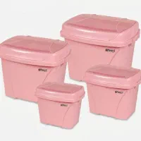 جا برنجی وحبوباتی