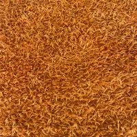 قالیچه فانتزی دستبافت هندی کاملا سالم|فرش|اصفهان, کوی شهید کشوری|دیوار