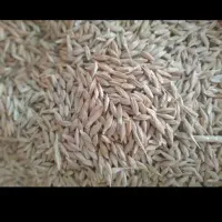 جو خارجی روسی