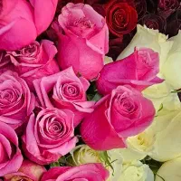 نیروی گل فروشی