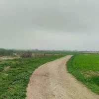 5000متر زمین سنددار با چاه آب