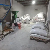 اسیاب و میکسر