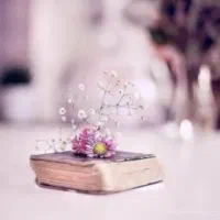 آموزش تخصصی زبان انگلیسی