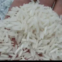برنج درگز درونگر