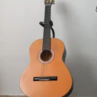 گیتار دیاموند