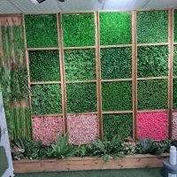 چمن مصنوعی|مصالح و تجهیزات ساختمان|رشت, دیلمان|دیوار