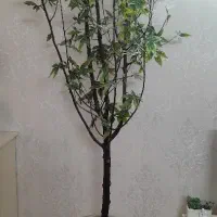 درختچه مصنوعی افرا