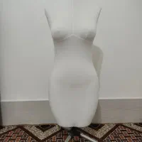 مانکن سوزن خور