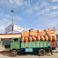 فروش یونجه|عمده‌فروشی|اهواز, نادری|دیوار