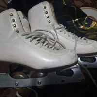 کفش اسکیت نمایشی