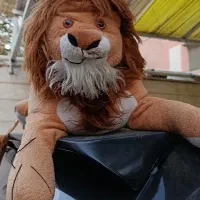 اسباب بازی (شیر )