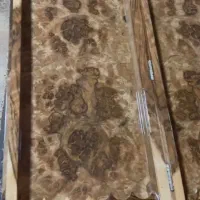 تخته نرد دوبازی