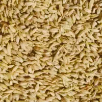 جو یونجه بره میش اسب