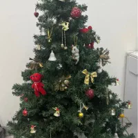 درخت کریسمس|گل مصنوعی|فردیس, فردیس|دیوار