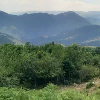 راهنمایی برا نظافتچی و آشپزی