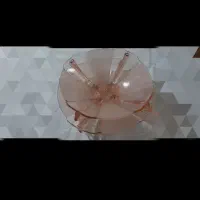 میوه خوری ، کاسه بشقاب قدیمی آنتیک