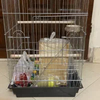 قفس پرنده|لوازم جانبی حیوانات|قزوین, |دیوار