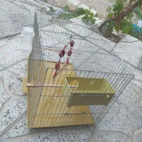 قفس پرنده