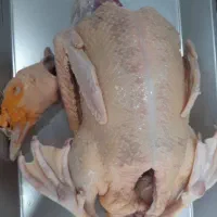 غاز و اردک روسی درشت آماده طبخ|حیوانات مزرعه|قائم‌شهر, |دیوار