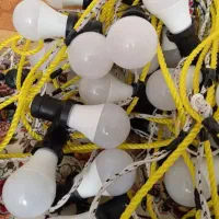 اجاره ریسه سفید ،پرژکتور،باند فلشخور