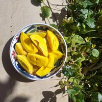 انواع ترشیجات خانگی