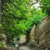 تور خوانسار  و دهکده توریستی گلستانکوه|تور و چارتر|اصفهان, بوستان آینه خانه|دیوار