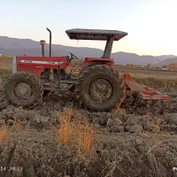شخم شالی زمین با تراکتور جفت