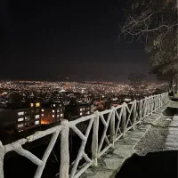 کسب و کار محترم ادمین لازم دارید پیام بدید