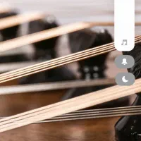 سنتور قدیمی خوش صدا سیم خرک نو مصراب کیف نو