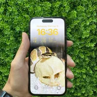 iphone 16 مشابه آکبند|موبایل|تهران, فردوسی|دیوار