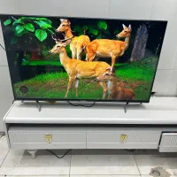 تلوزیون های(استوک،نمایشگاهی)|تلویزیون و پروژکتور|اصفهان, خلجا|دیوار