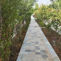 زمین-دور-دیوار