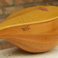 سه تار حرفه‌ای فرهاد لطف الهی