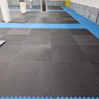 ۳۰۰متر سالن ورزشی جهت همکاری بامربیان