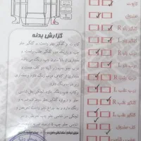 207 مدل 96|خودرو سواری و وانت|بوشهر, |دیوار