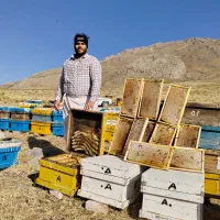 عسل، روغن و کره درجه یک
