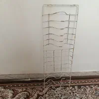 اب چکان معمولی