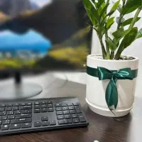 پول لازمته غیر حضوری بدون پیش پرداخت و سپرده