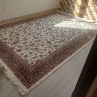 قالی نو تازه پلاستیکشو دراوردم|فرش|امامزاده عبدالله, |دیوار