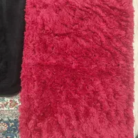 پادری