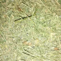 یونجه انباری درجه یک