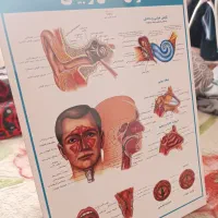 کالبد شناسی آناتومی بدن انسان علوم ورزشی پزشکی|کتاب و مجله آموزشی|مشهد, جانباز|دیوار