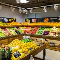 عمده میوه جات مارگون