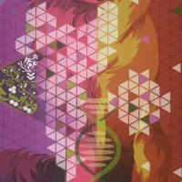 چند جلد کتاب فرمول بیست دوازدهم تجربی